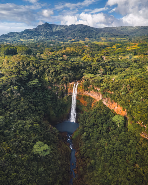 Item #82007330900791544464165619795045730741367351453180481103440088202426984693761 Media