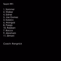 Team 991