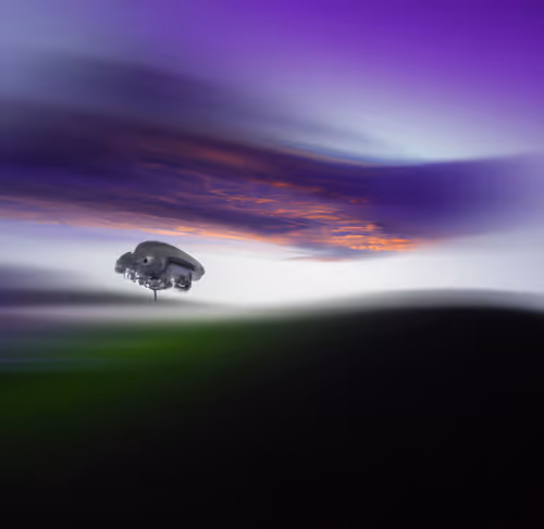 Item #68191600805378060994990530553063317050227610382649141130787624745118331830273 Media