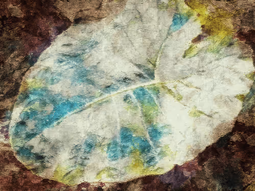 Item #69261177602478584146078213691104273677815526894191982293268527993681814224897 Media