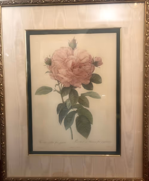 Item #115703338117477913088494101734618390154567674816237211843982883095412595490817 Media