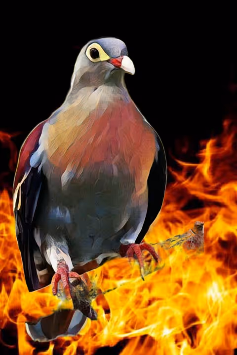 Item #8611177212973406975637787311467685402207376623163261380943492181834531340289 Media