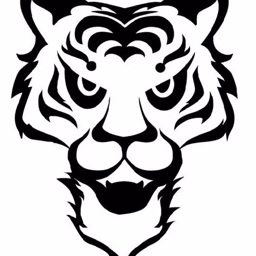 Untitled Collection #151018201