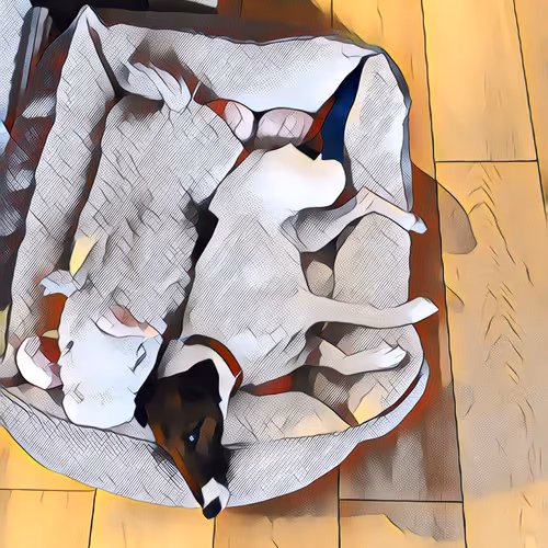 Item #108767824984107427306239065059911638745749785478323690674921709028888557912065 Media