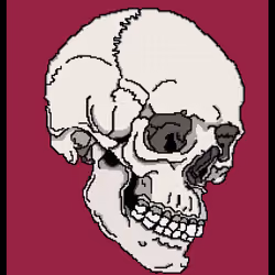 Crypto Skull 07