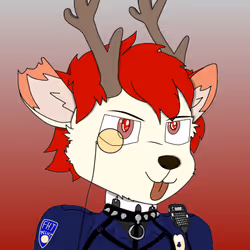 30016579514841798280272942481353484762685851957115112550778020392466441568257