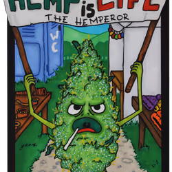 JACK HERER