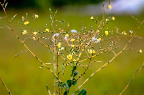 Item #30985419060957023672606833204645685316652492575224970316942919815017053290497 Media