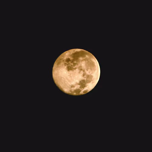 Muffin Moon
