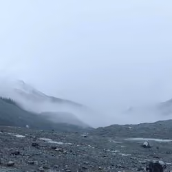 Fog