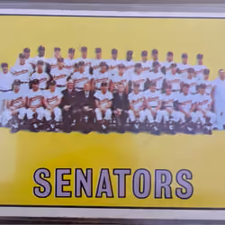 RareSportsCollectibles: 1966 Washington, DC Senators #437 Topps Card  
