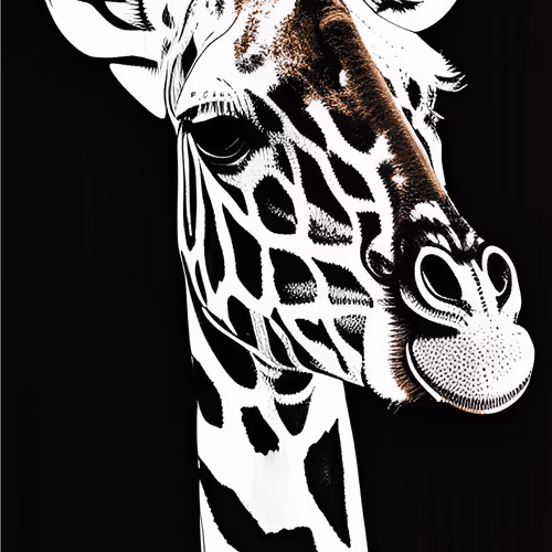 Jia Raffe