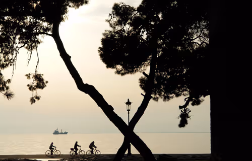 Item #62450163587464916646709375765120479654393339948388085324429160198885605376001 Media