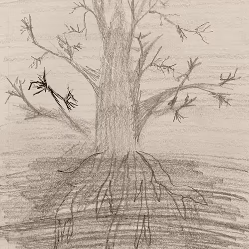 ArtbyShyShy Collection