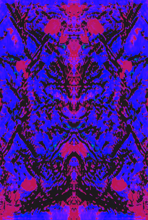 Item #58634798829663089795358456549022693013816106785285099454649778086987138334721 Media