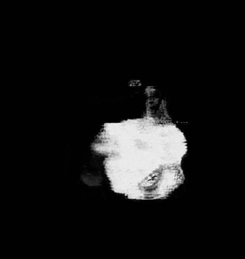 Item #9050991396078878530804497659870993705968162446836973774563467435540356268033 Media