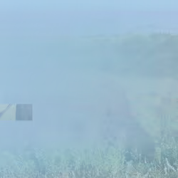 105089968166921690156624725616502706642431777719922472152070405770041291177985