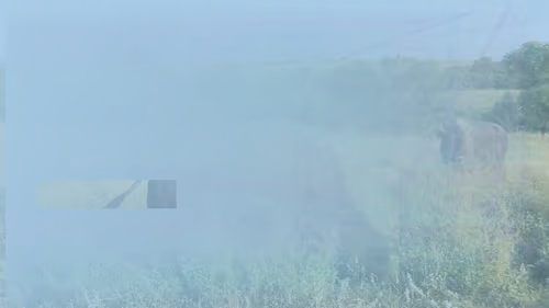 Item #105089968166921690156624725616502706642431777719922472152070405770041291177985 Media