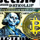 Cryptoexx Collection