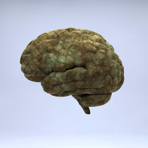 Item #77412820926303725204956055566925211190020908428863033075197849086280119353345 Media