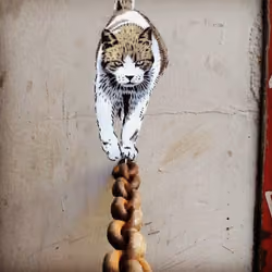The Cat