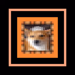 PLAID_Shiba_$DOGE_[o'rā:ze]_🧡