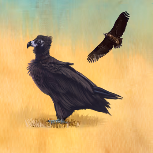 Item #113158669374427839684248314488913715368730880920869844839548125309058441805825 Media