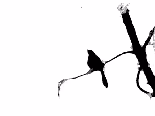 Item #114981805351974490021049017383162112341972842227829762206280093603488669368321 Media