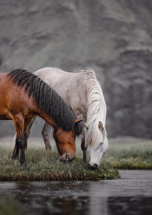 Item #37166292038875349810746612837735462118935835935702038300656537508192104480769 Media