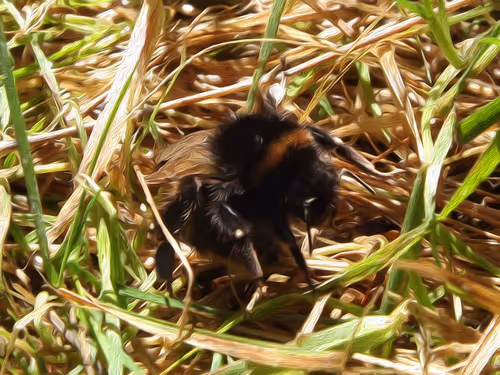 Item #105673088897811485287945141455382573063787114184958650886486185949779084705793 Media