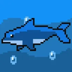 Blue Dolphin
