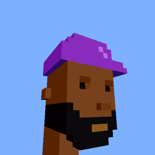 PunkVoxels #0030