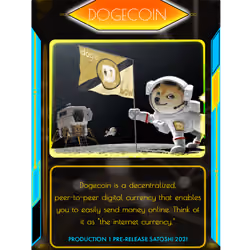 Dogecoin 1/1 (Extremely Rare)