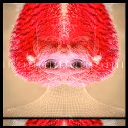 Turkeyhead 1