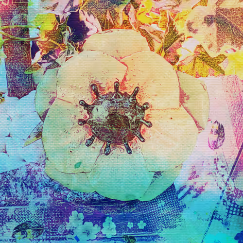 Klintmoor Flower Edition 2/50