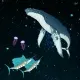 Star Aquarium