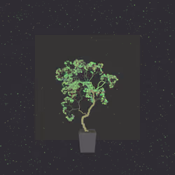 tree 0x89