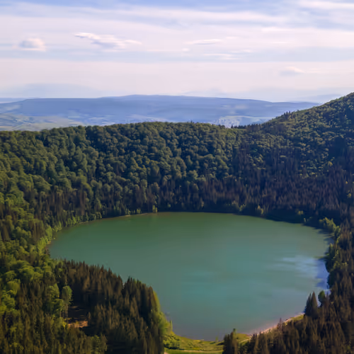 robertistok Collection