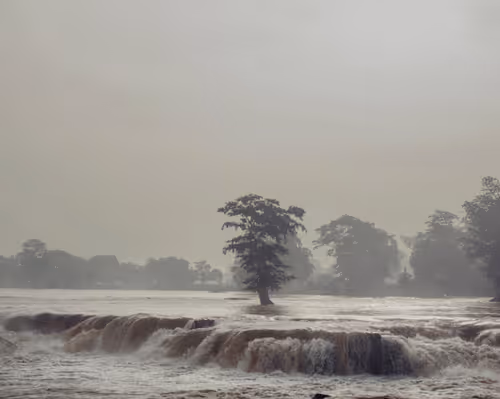 Item #80141737210111839928667523403933295145384279437019335330195524803867944419329 Media