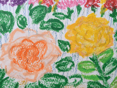 Tokyoikeb Collection