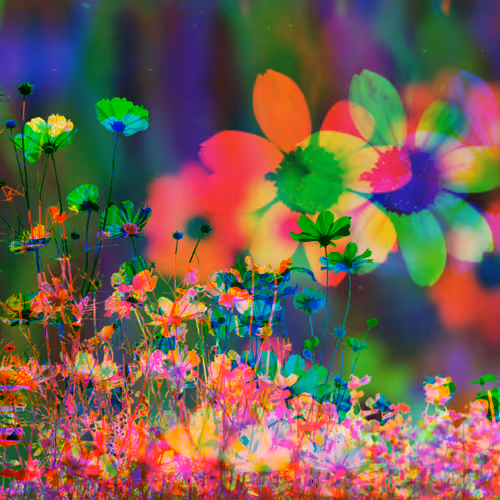 Item #44774762337668537642205640678235127653662757933255340155095354933438404624385 Media