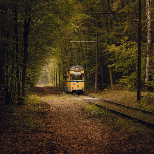 Three Seasons - Editions