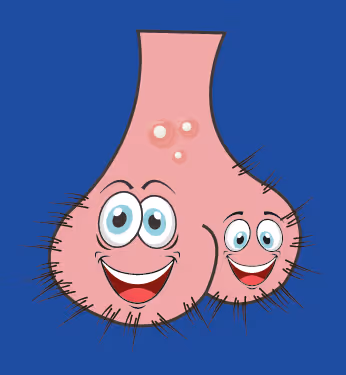 Item #22793047471806318065020766672709763262679883798276267629942525440249596739585 Media