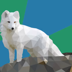 Snow Fox light
