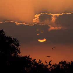 The sun shines #046 Smiley Face