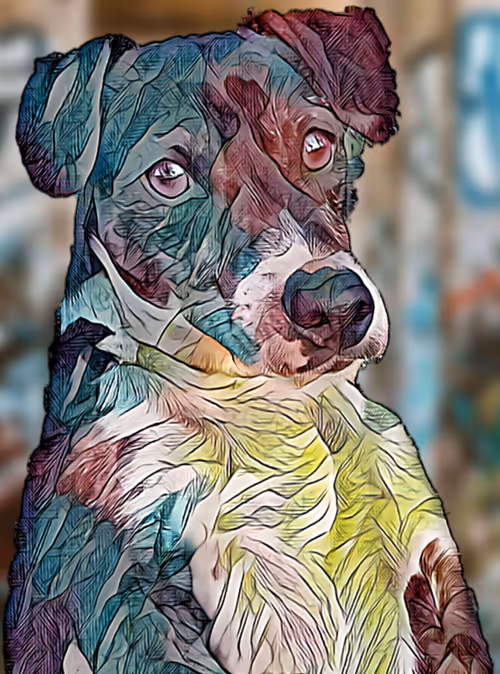 Item #78130481310736811720699625513350459712197011297885855401872198804239777005569 Media