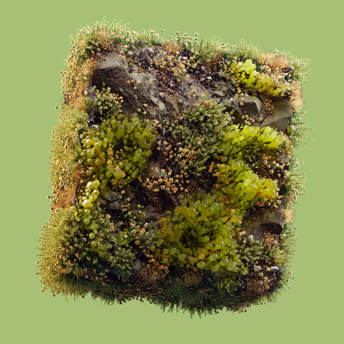 Item #29025029791859050124720480462956340608557292548544538512690378040200581349377 Media