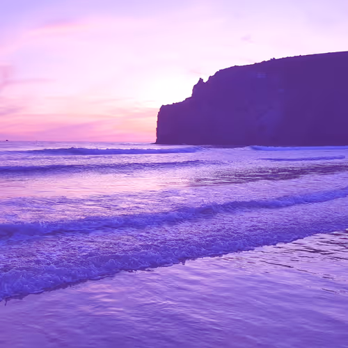 Untitled Collection #389285527