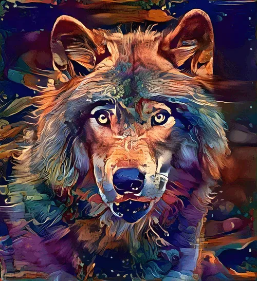 Item #1554799836079500228833107293622539328643029404359757115533642984487372455937 Media