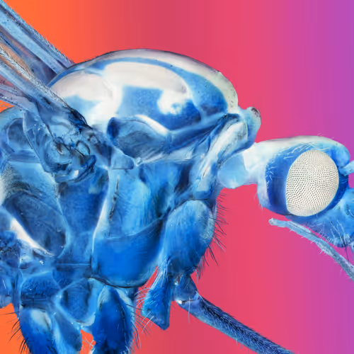 34706450278162979318667539787965118364630649928530058686286775303305466740737